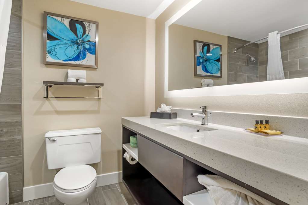 Best Western Plus Greenville I-385 Inn & Suites Image