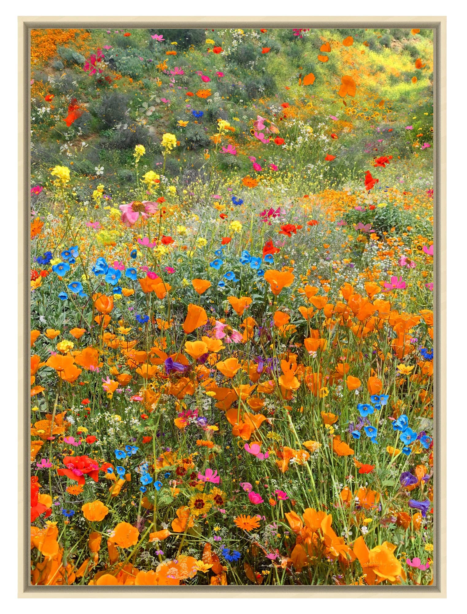 Siobhan O'Dwyer - Color Explosion: Ash Frame / 20"x24"