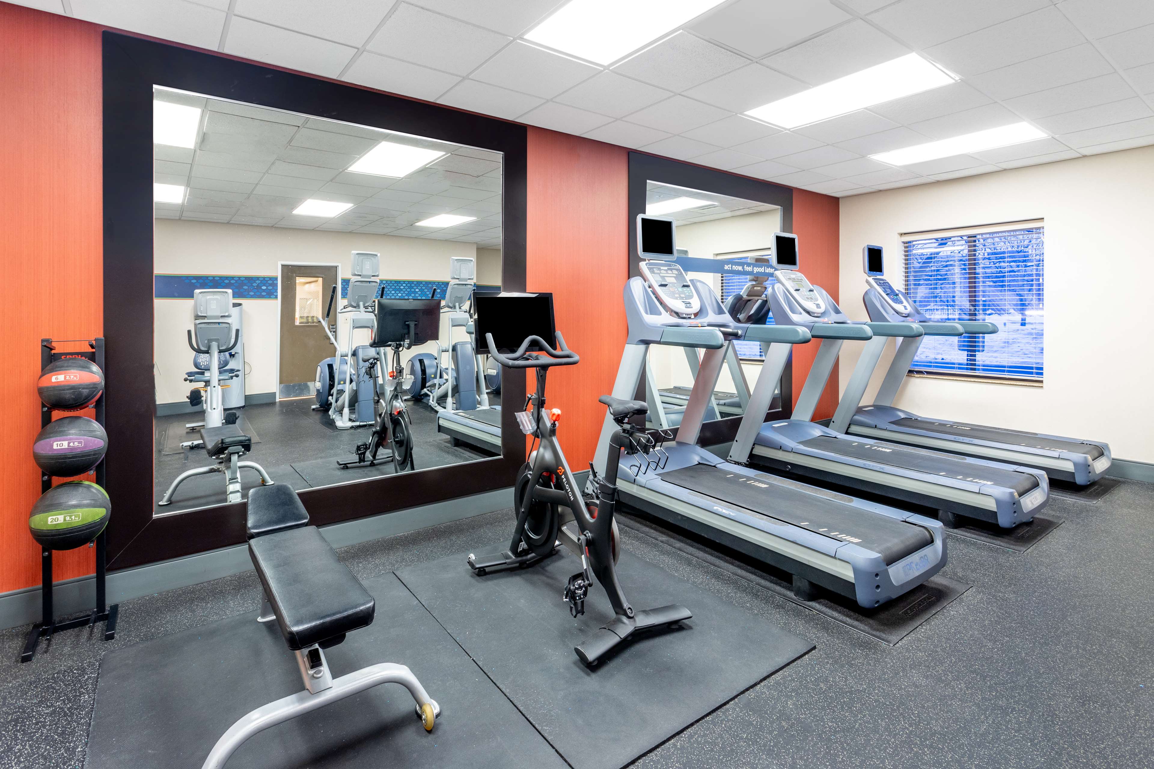 Health club  fitness center  gym