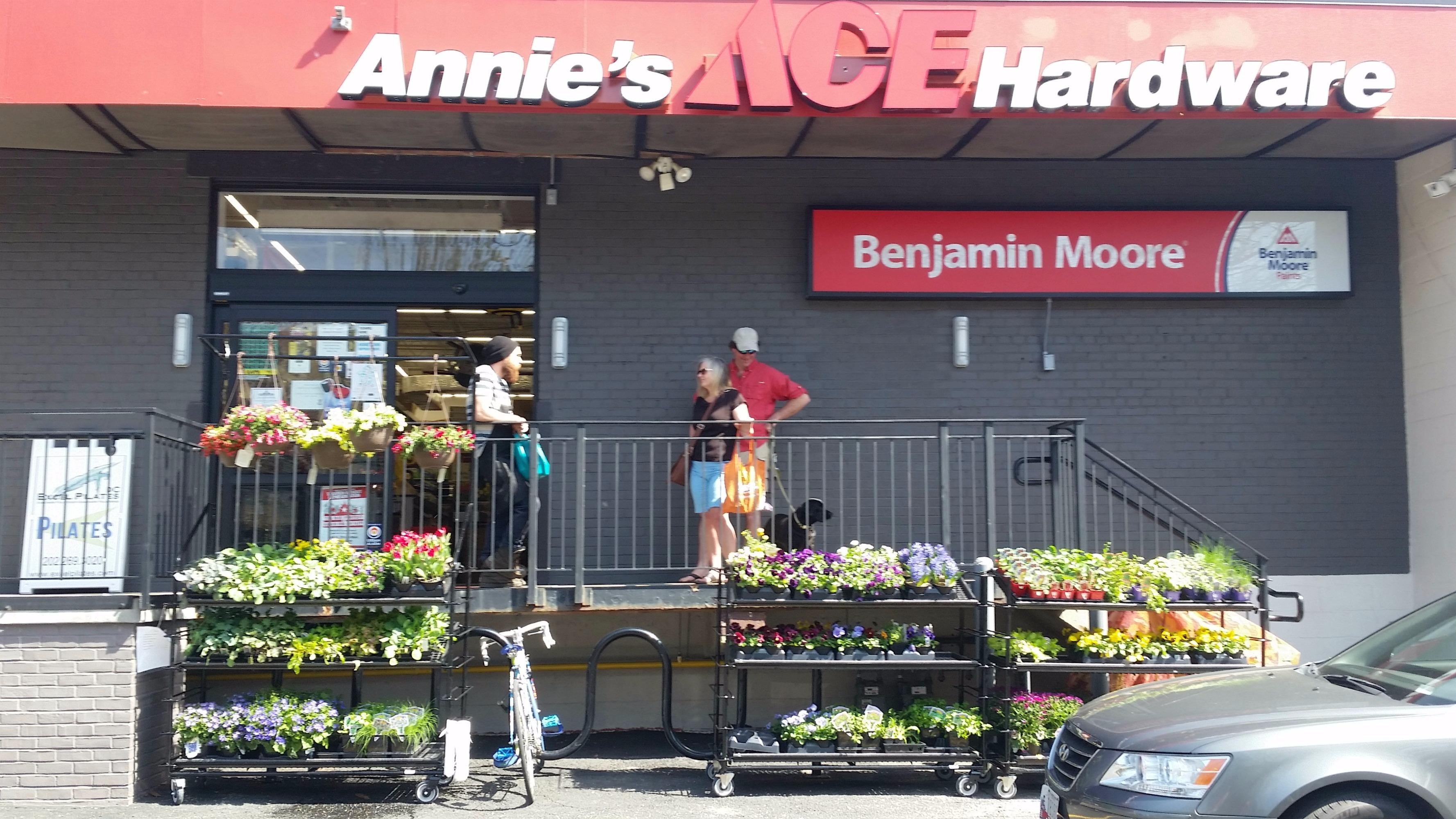 Annie's Ace Hardware - Brookland Photo