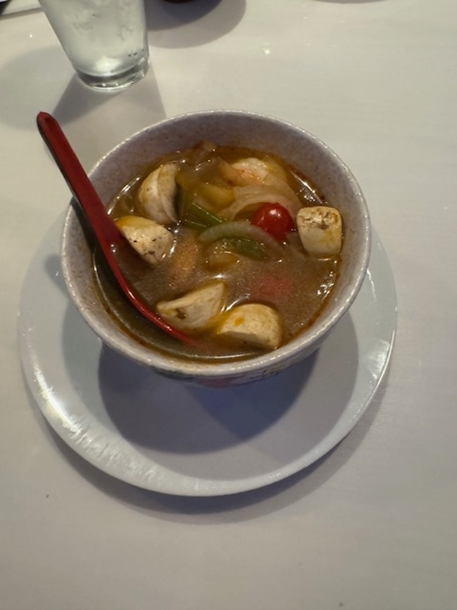 Tom Yum Chicken Soup