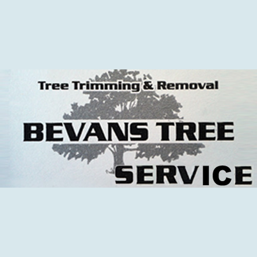 Bevans Tree Service Logo