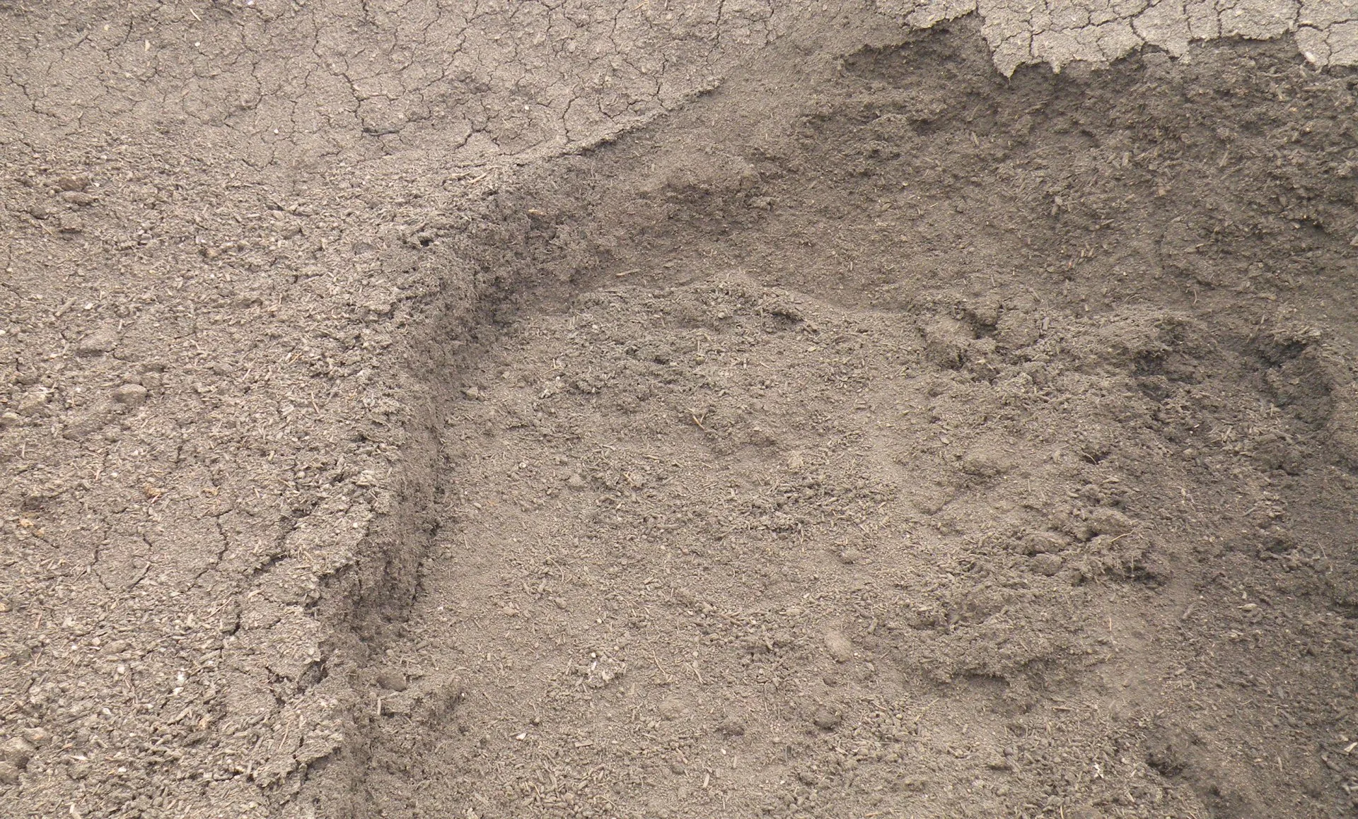 Topsoil and Compost