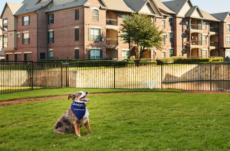 Camden Panther Creek Apartments Photo