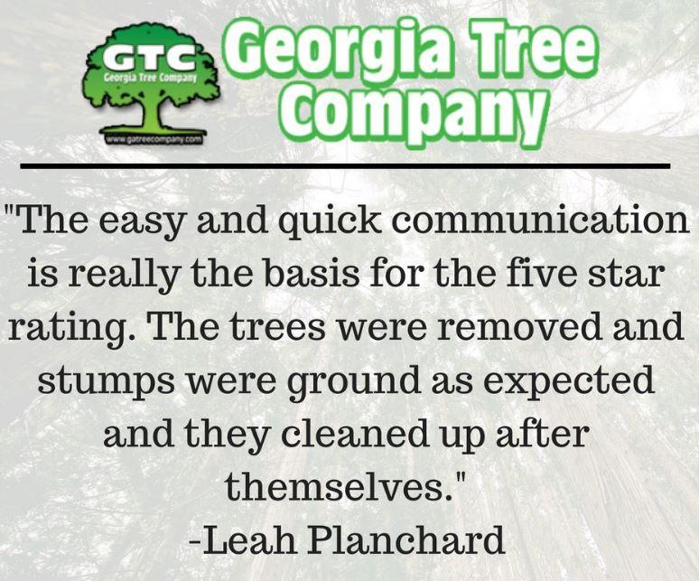 Georgia Tree Company Image