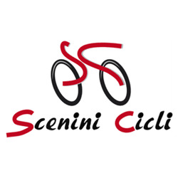 Logo di SCENINI SAURO