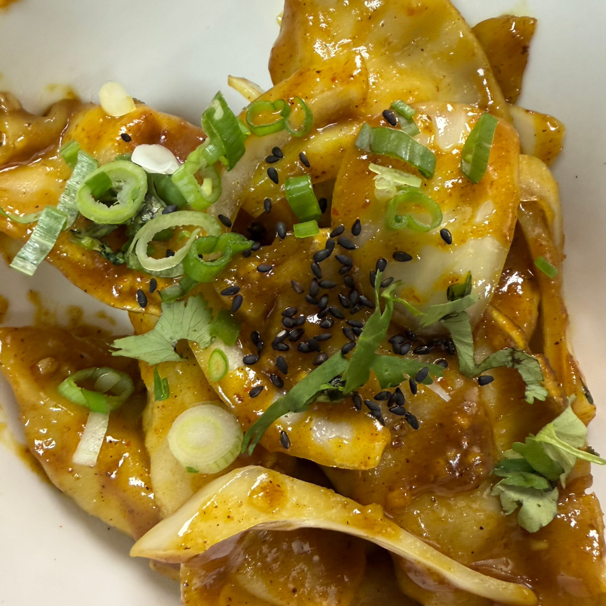 Curry Dumpling