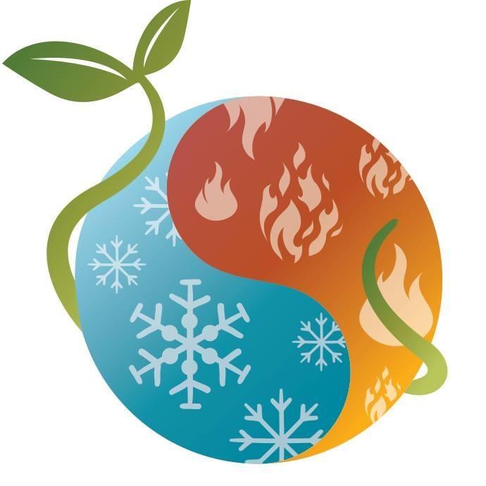 La French Gypsy LLC Logo