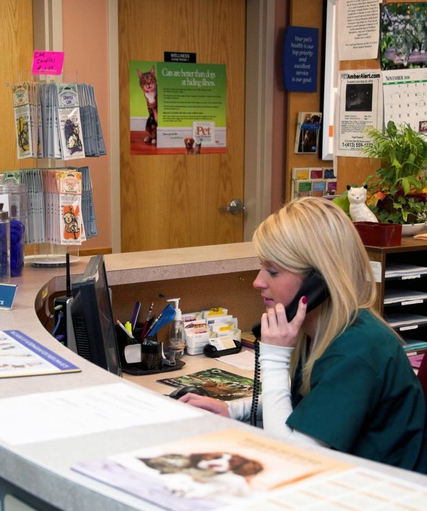 Images VCA Boston Road Animal Hospital