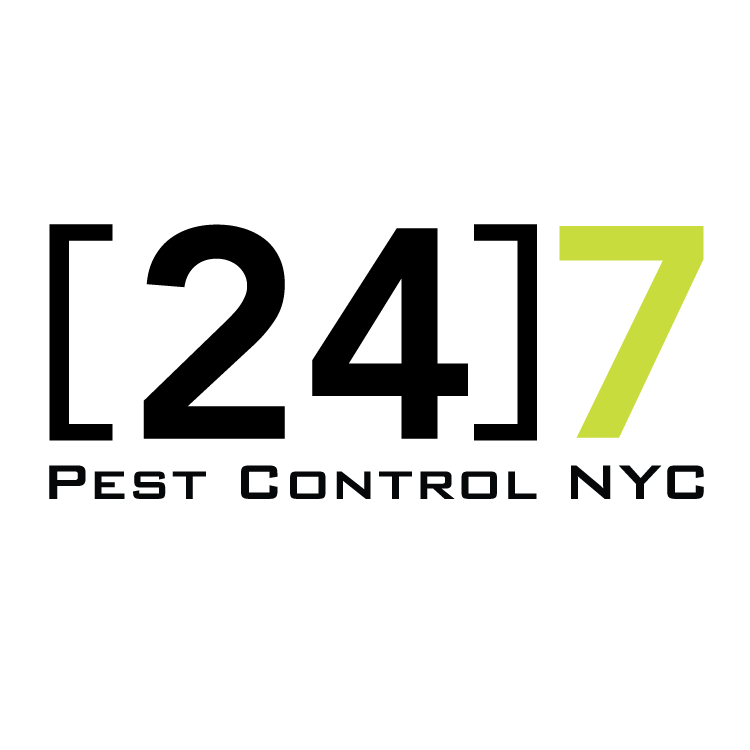 24 Hour Pest Control NYC