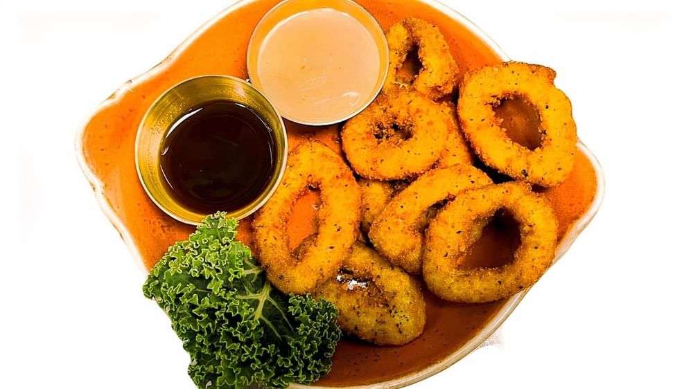 Fried Calamari