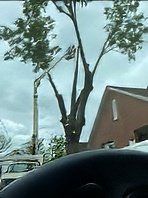 Plyler's Tree Service Image