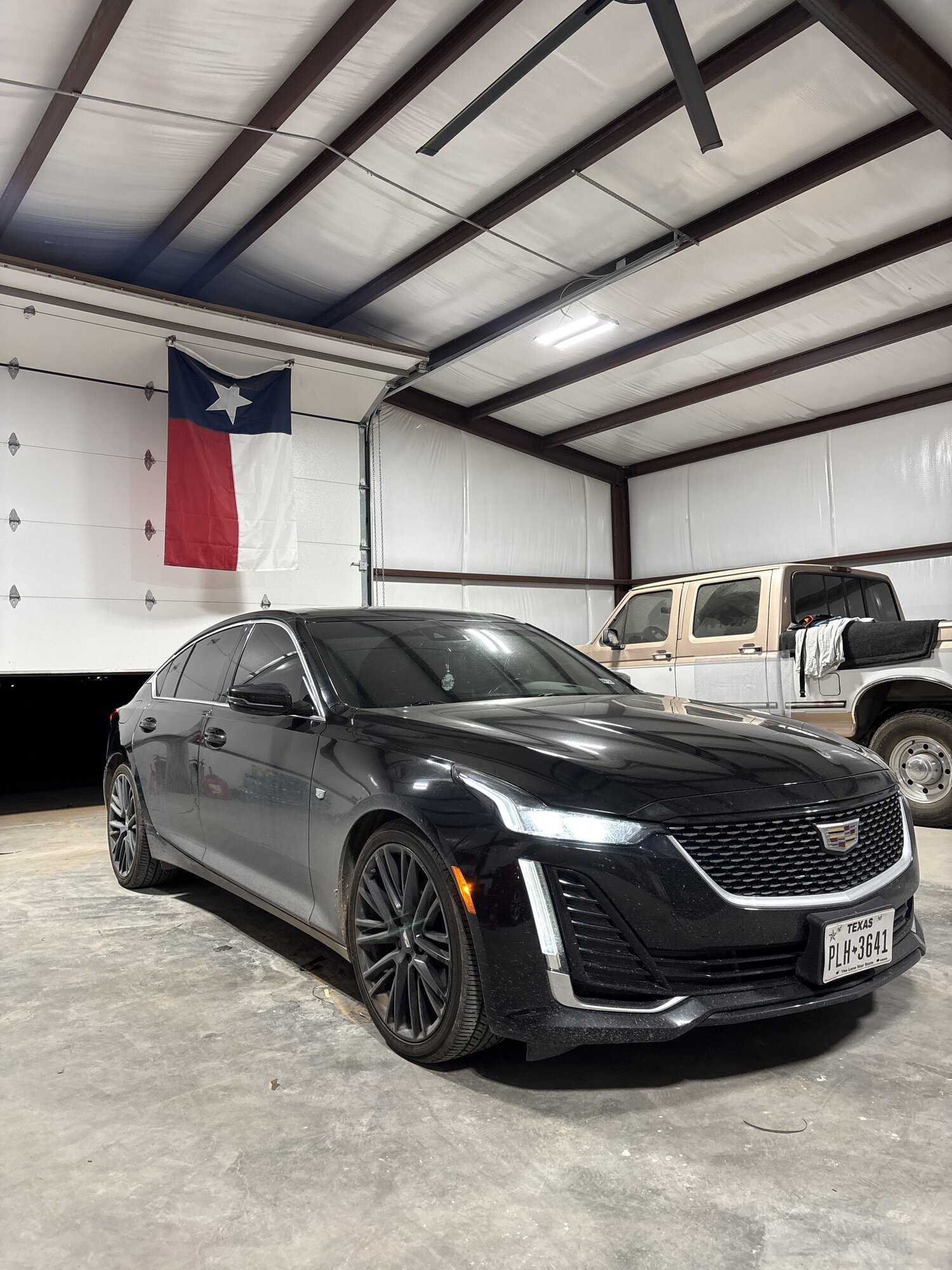 Ibarra Tint & Vinyl Image