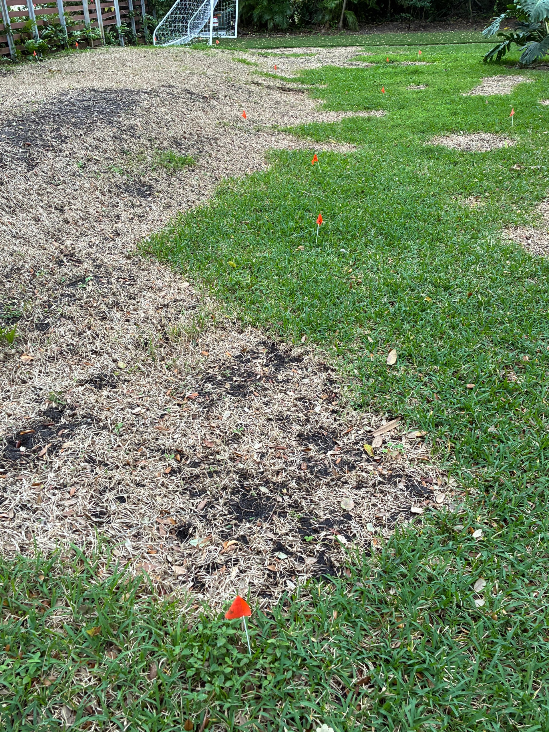 Lawn Squad of South Miami Image