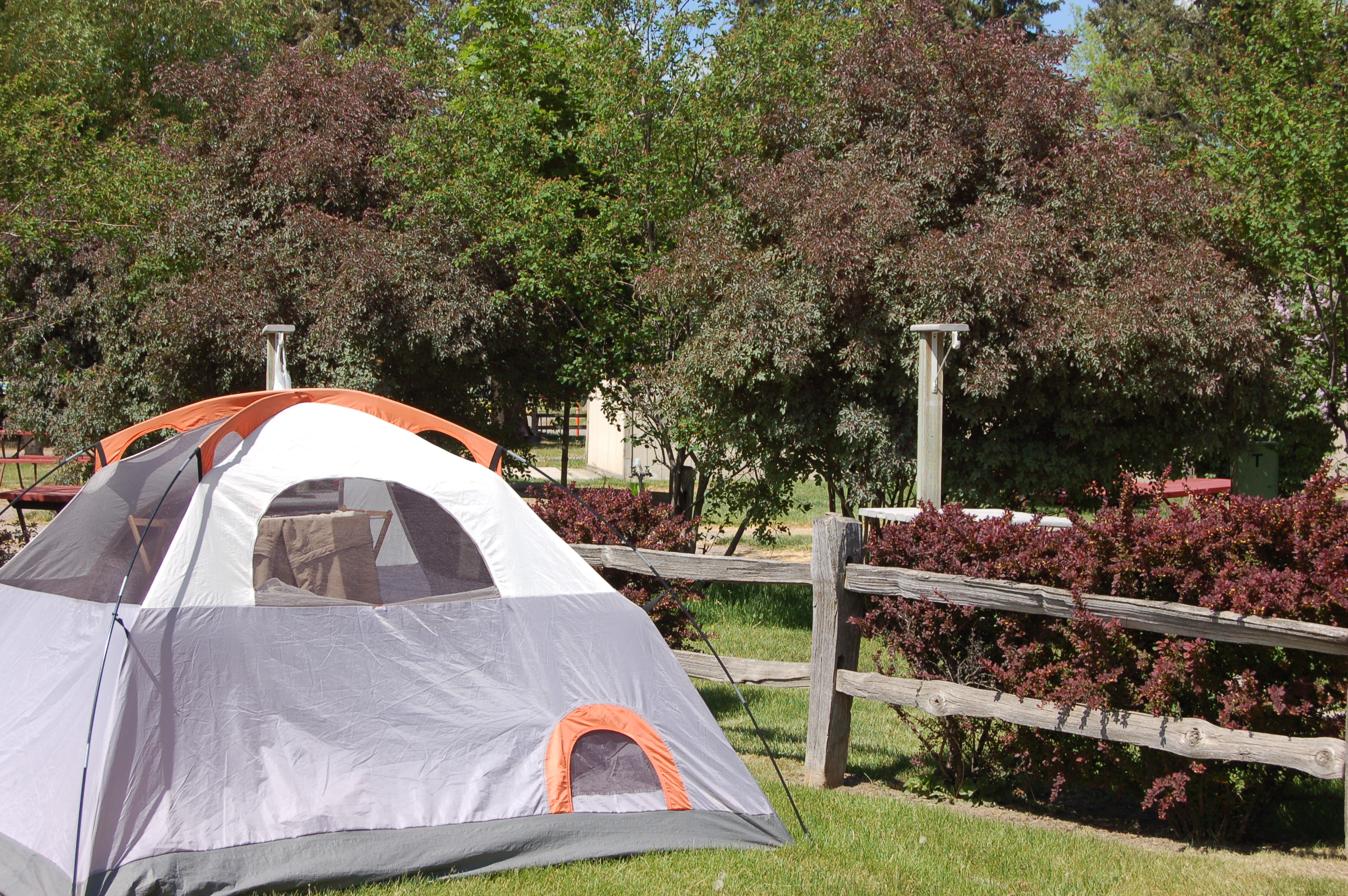 Missoula KOA Holiday Photo