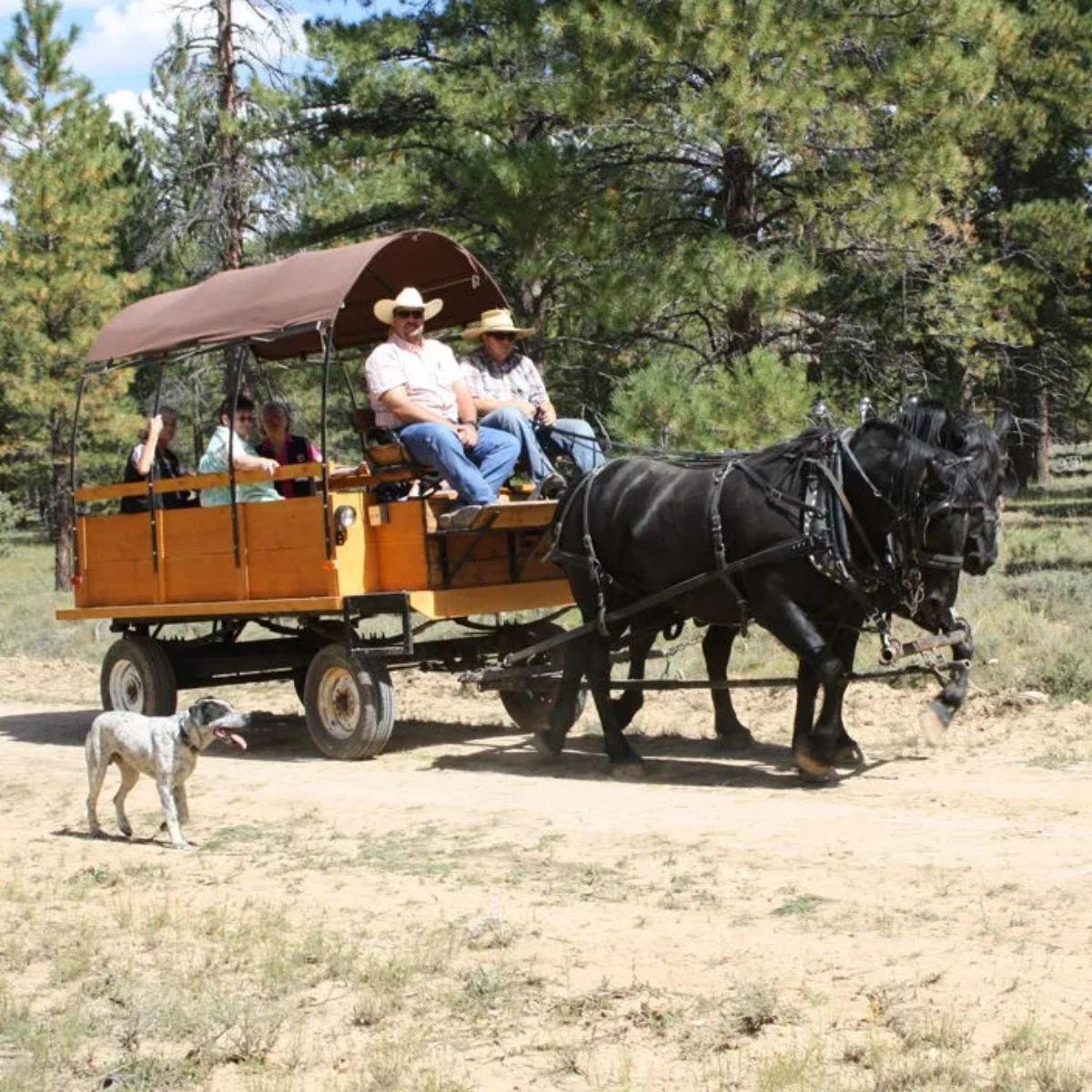 Sleigh Rides