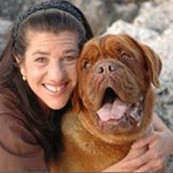 All Animal Clinic Image