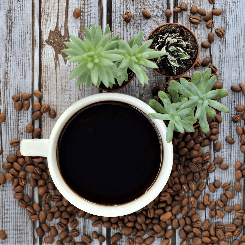 Hot Brewed Coffee