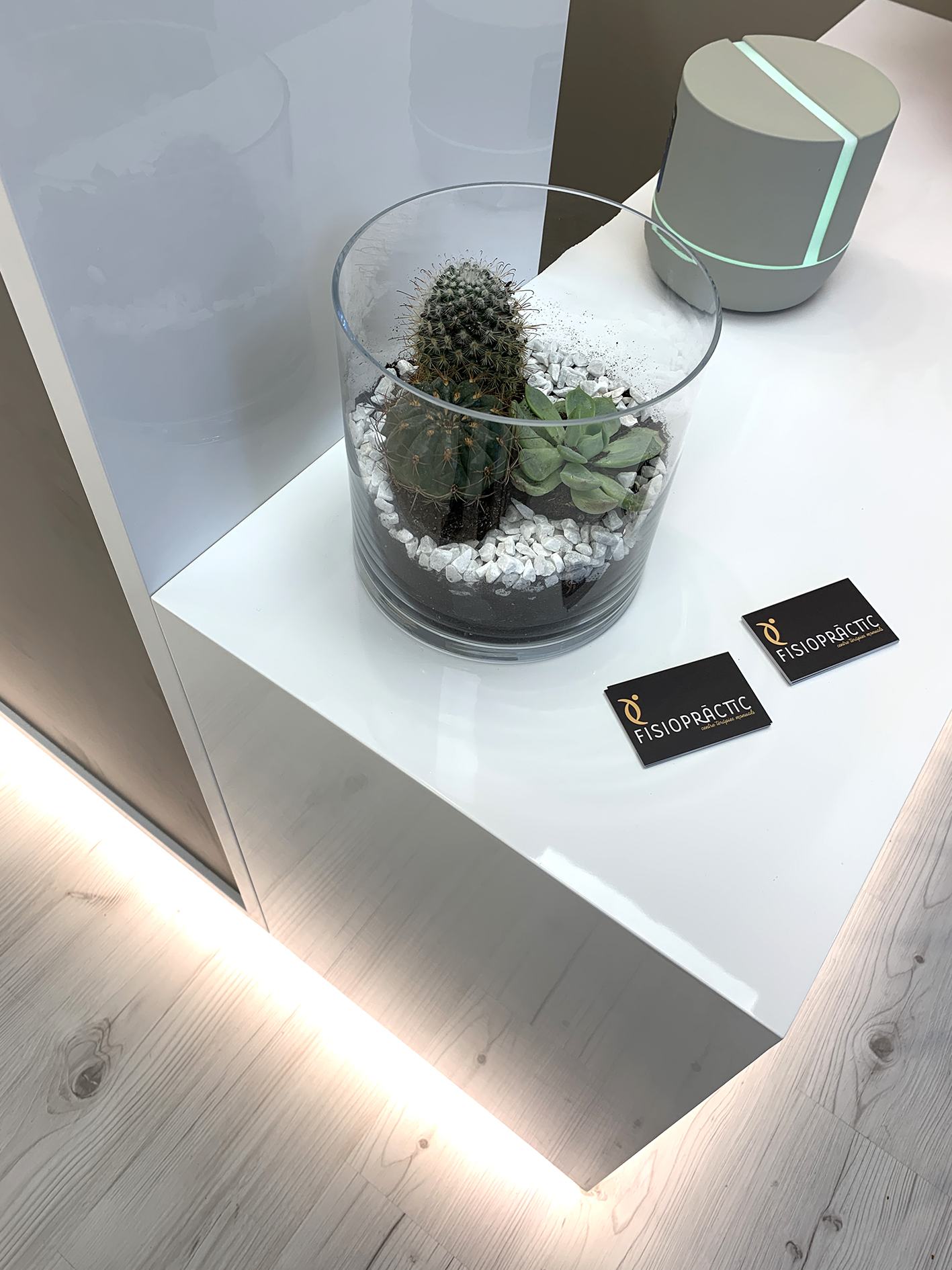 Galería en miniatura