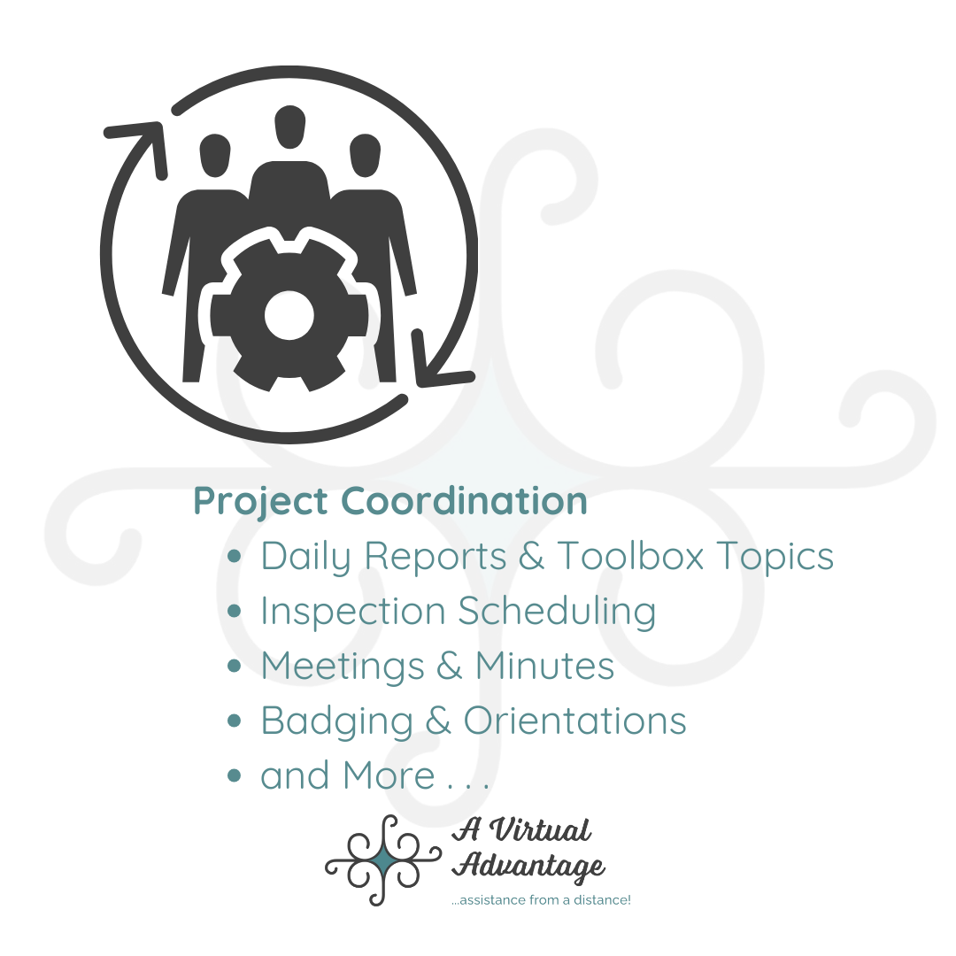 A Virtual Advantage LLC Image