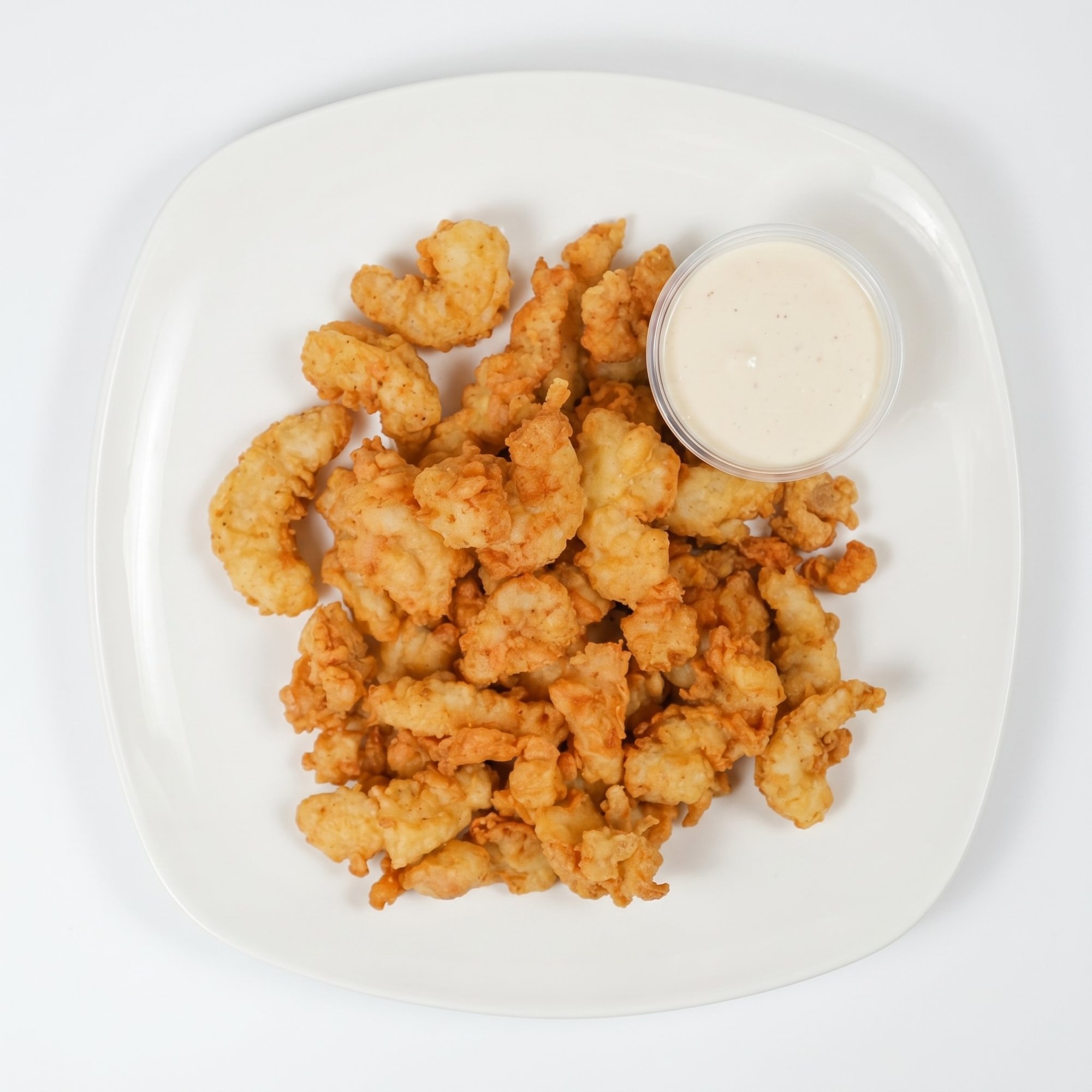 Alligator Bites