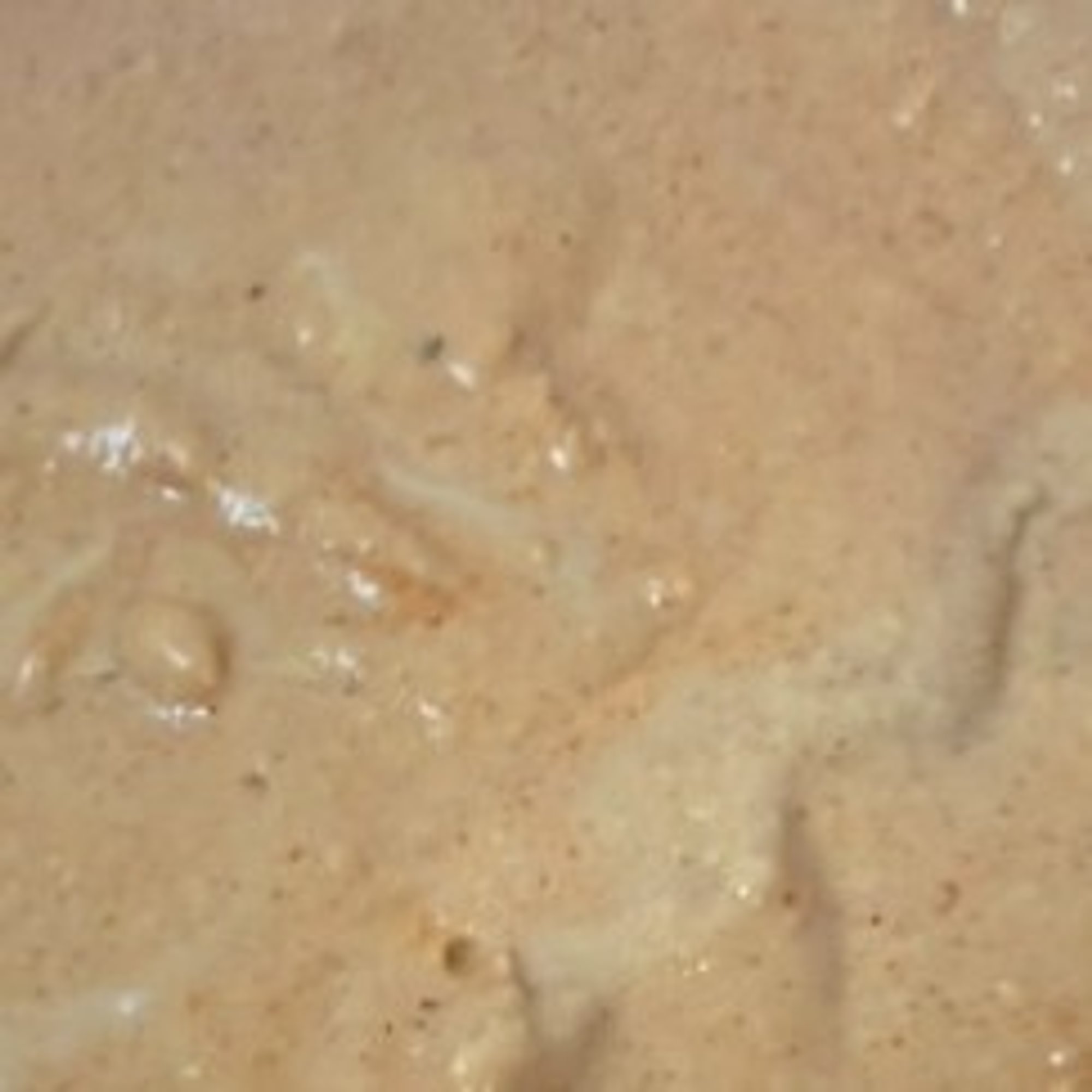 Chipotle Hummus