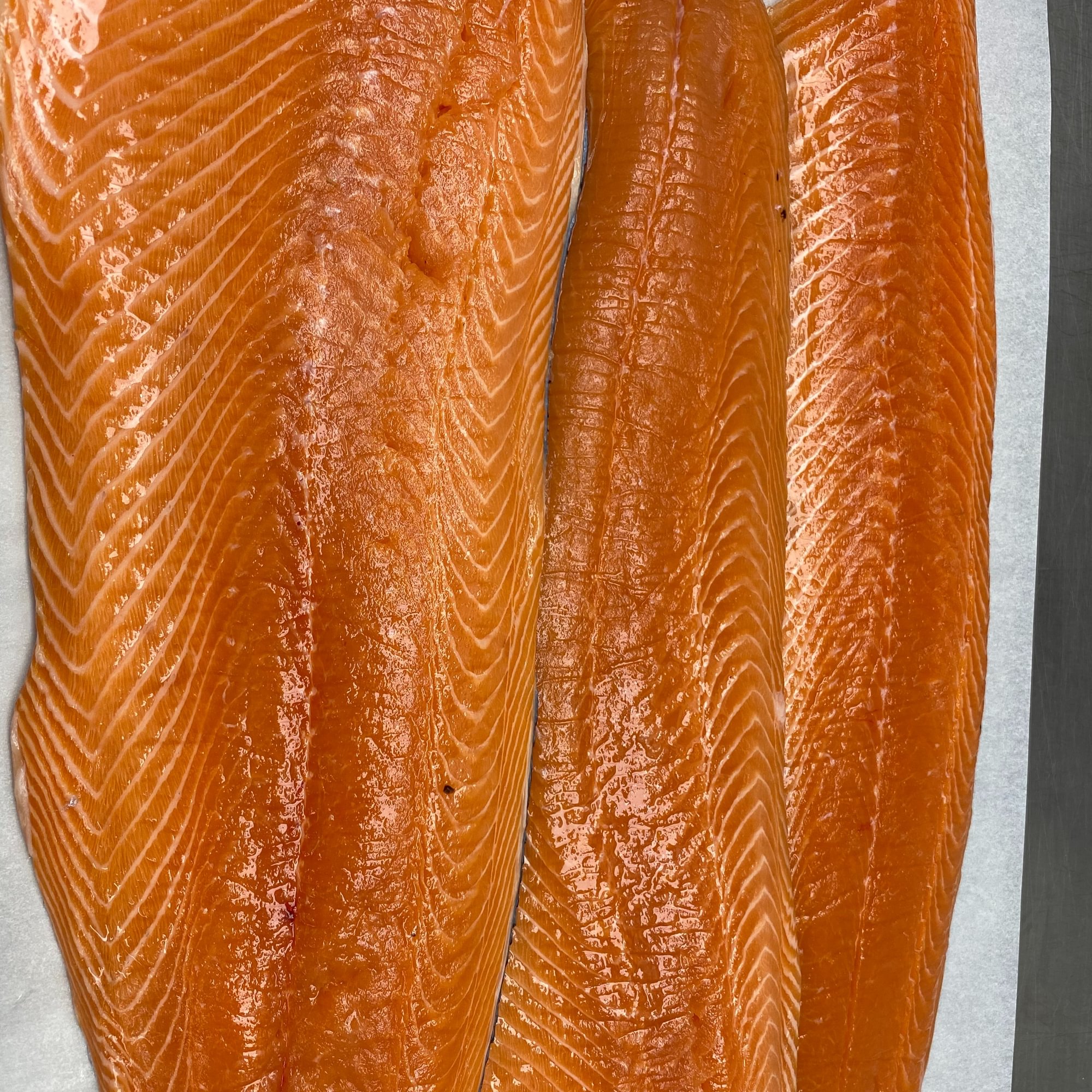Salmon (6-8oz) by the pound