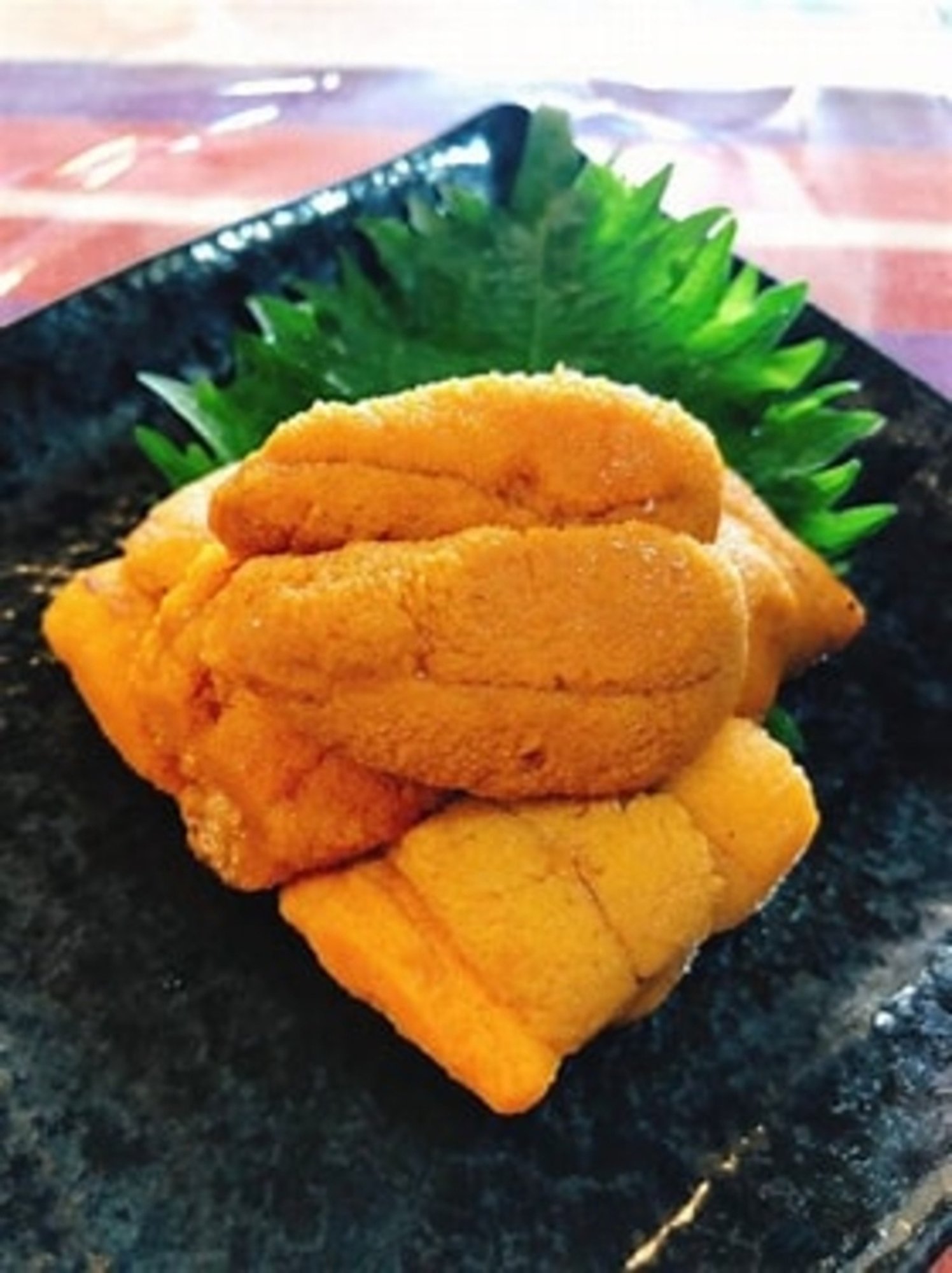 3 Pc Sashimi "Uni" Sea Urchin