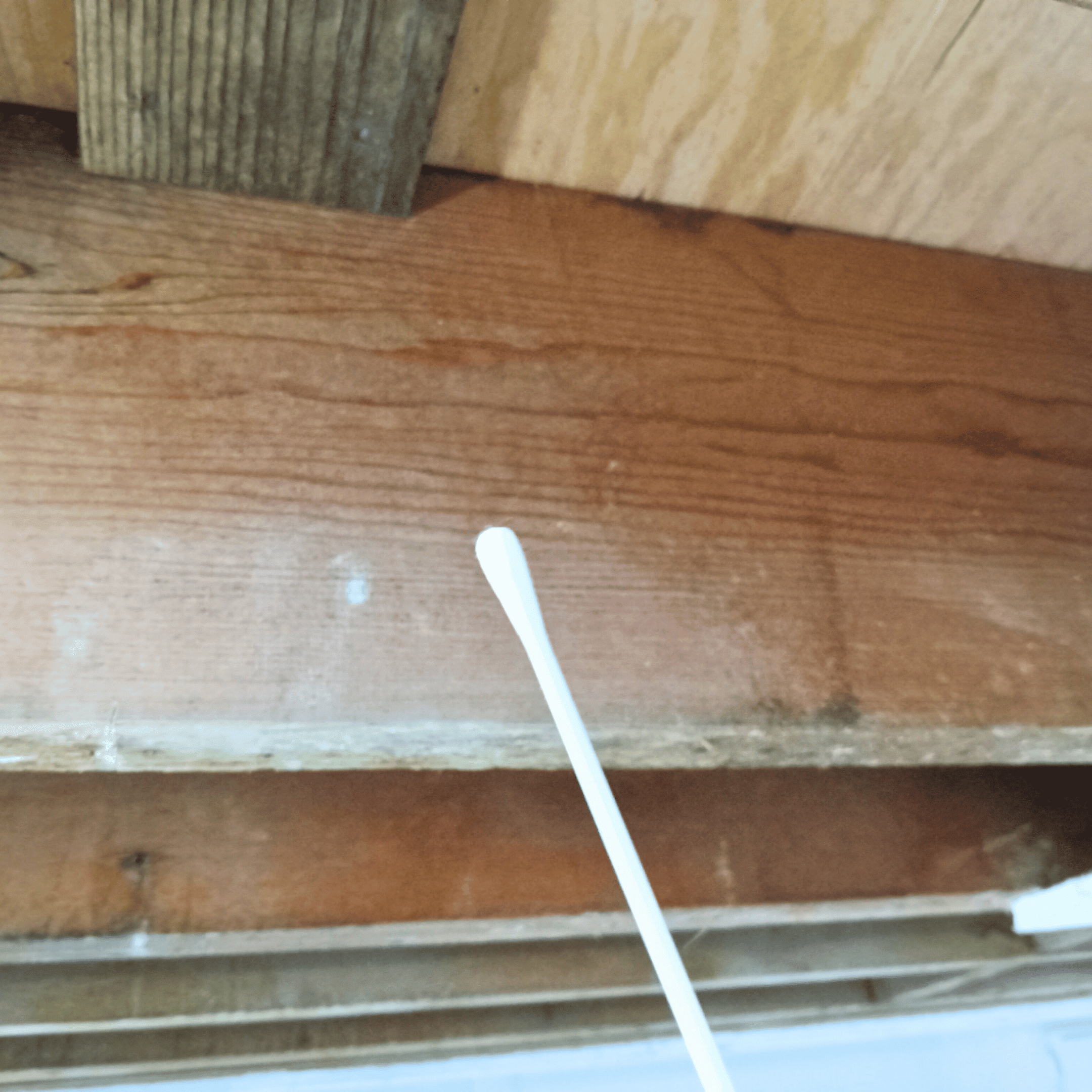 Coastal Risk Management Image