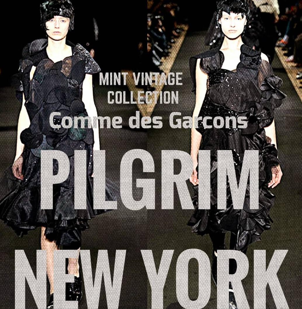 Pilgrim New York Photo