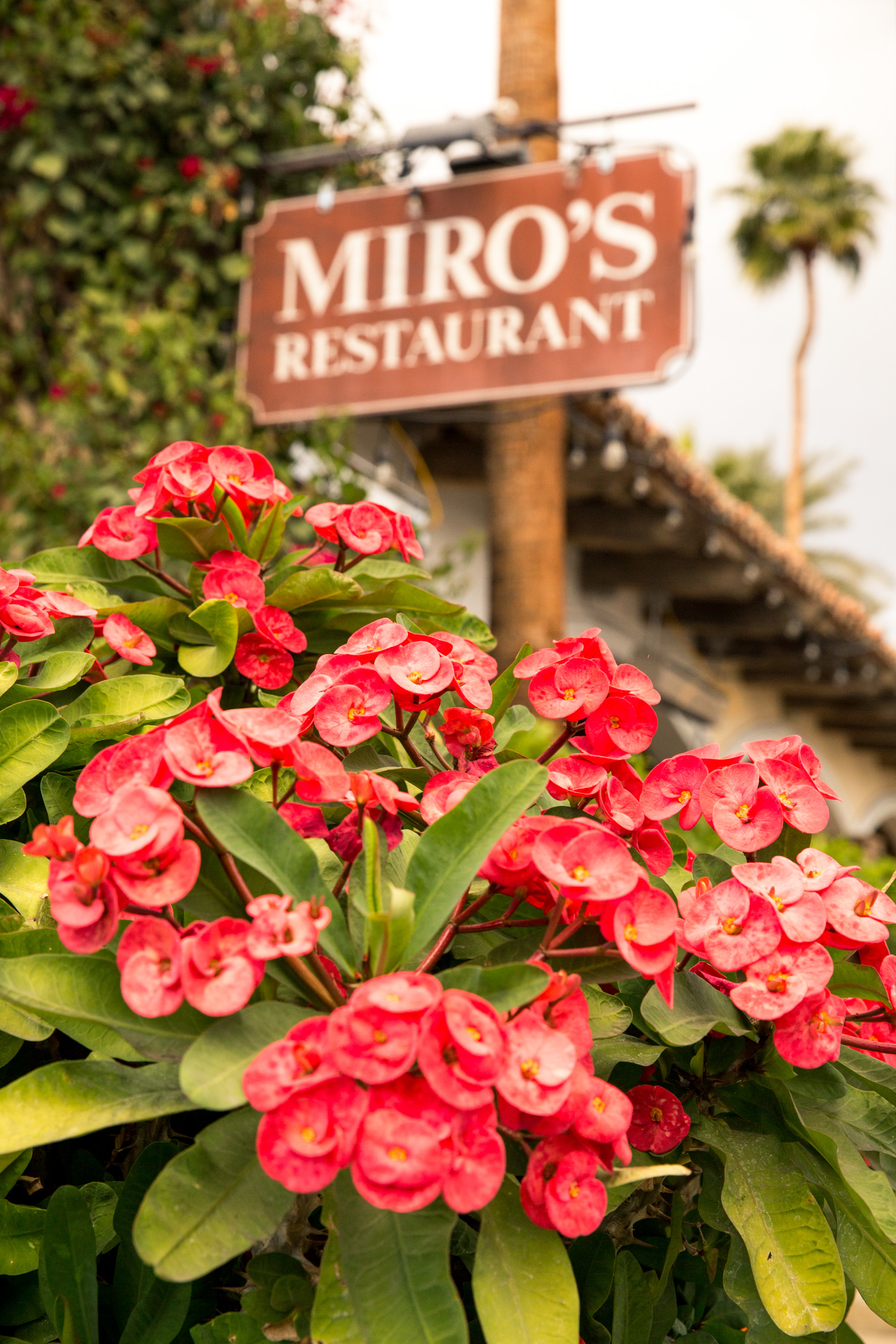 Miro Spanish Restaurant Charlotte - fqxdqme