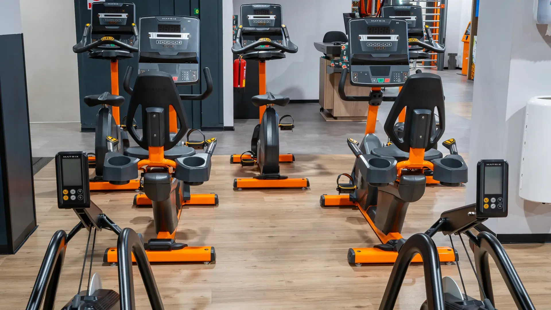 Galería en miniatura