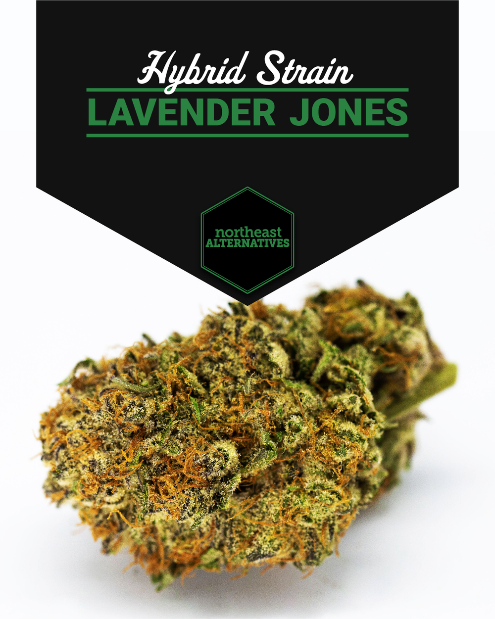 Northeast Alternatives Dispensary - Fall River Image