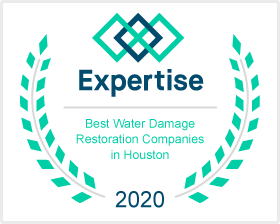 Restoration Expertise Award