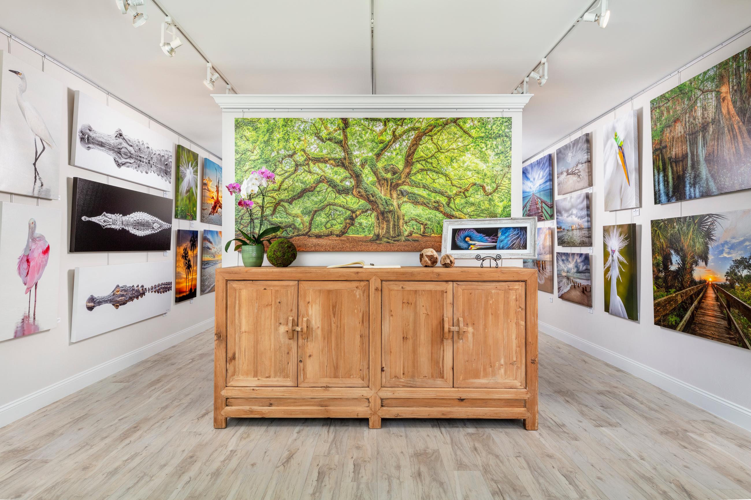 Dennis Goodman Fine Art Photography Image