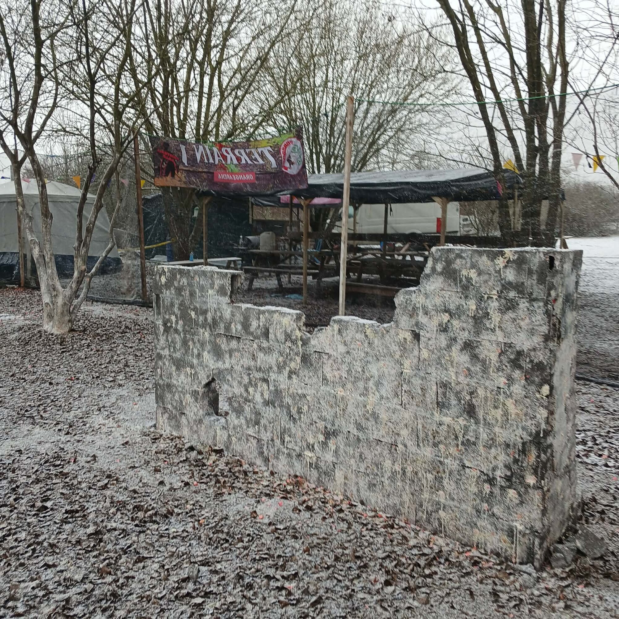 Miniature de la galerie