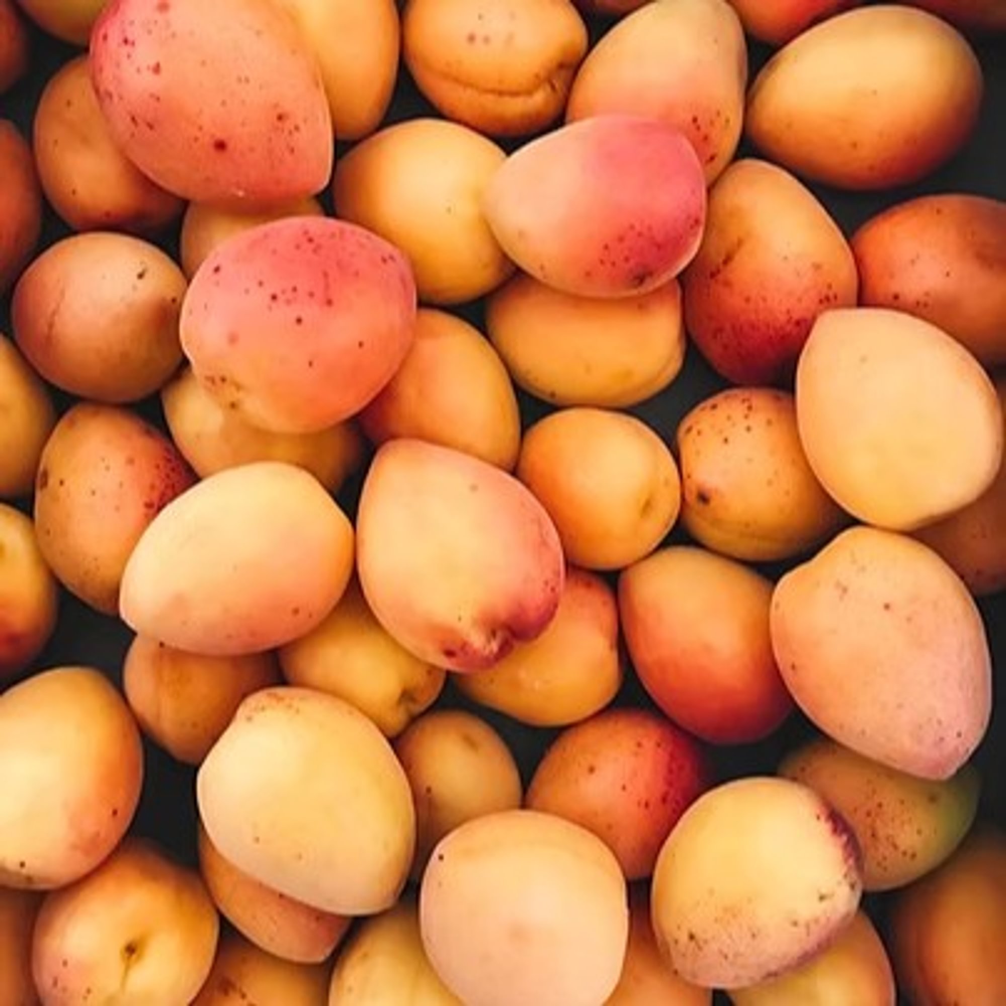 Blenheim Apricot White Balsamic