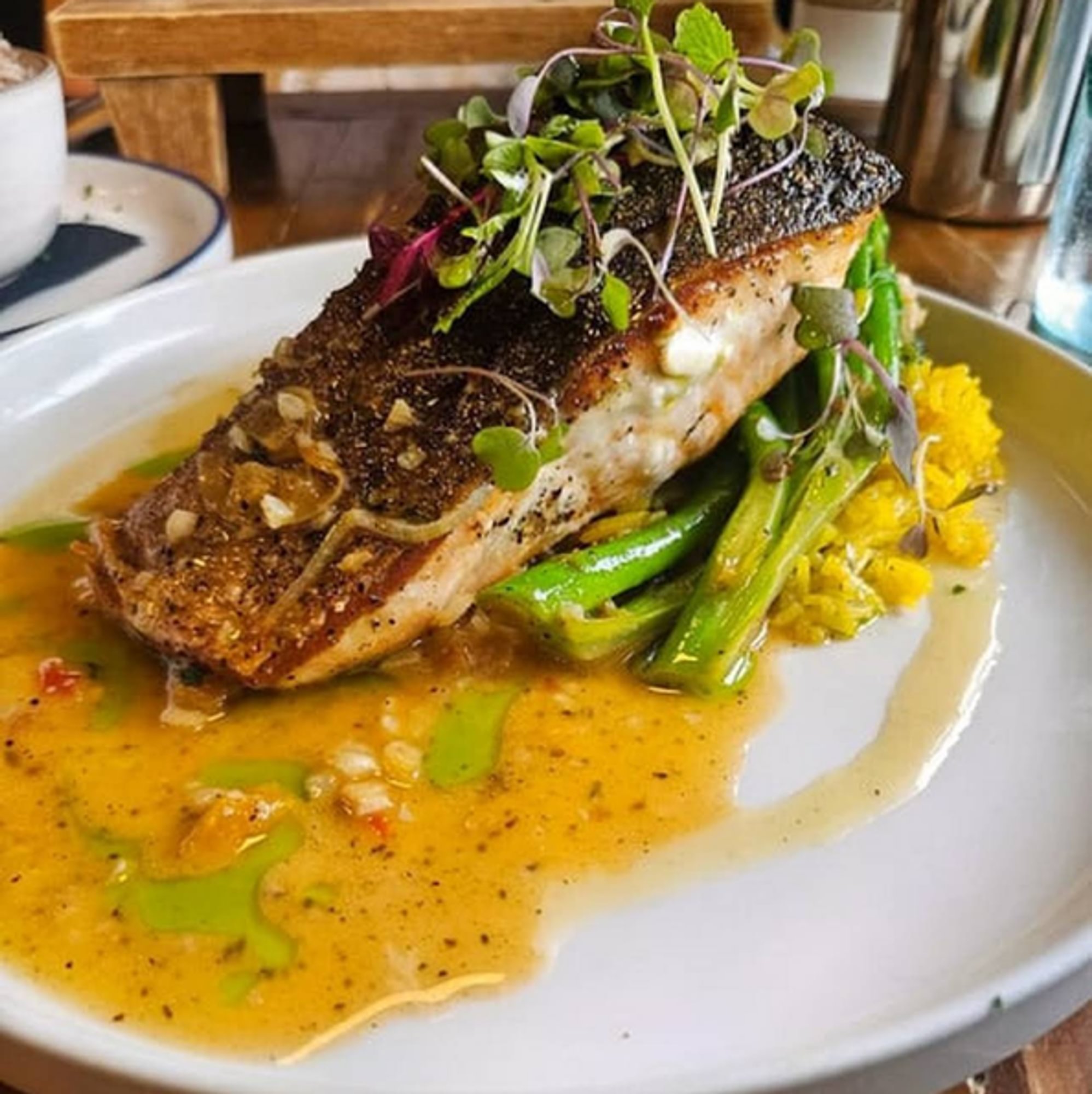 Salmon