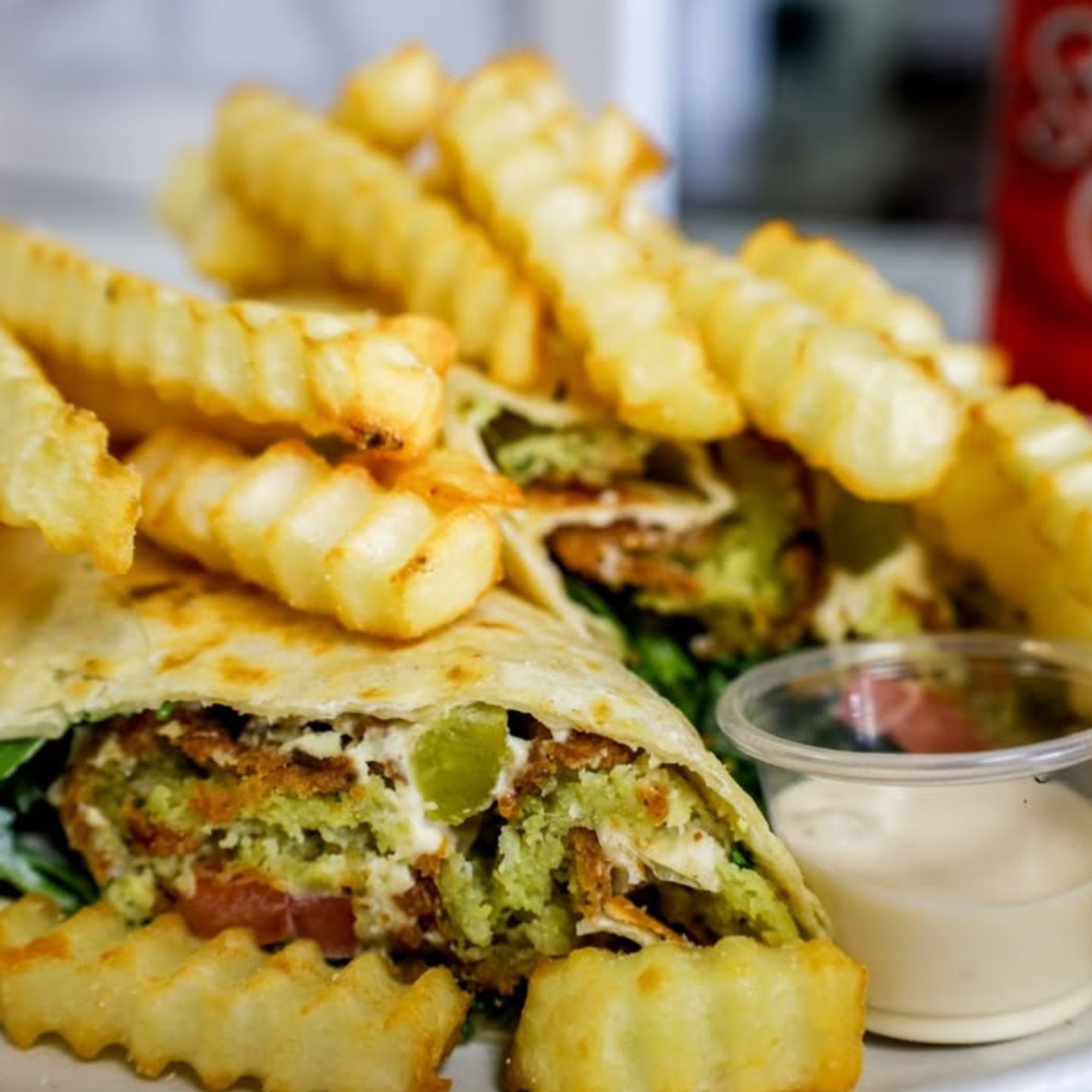 Falafel Pita Combo