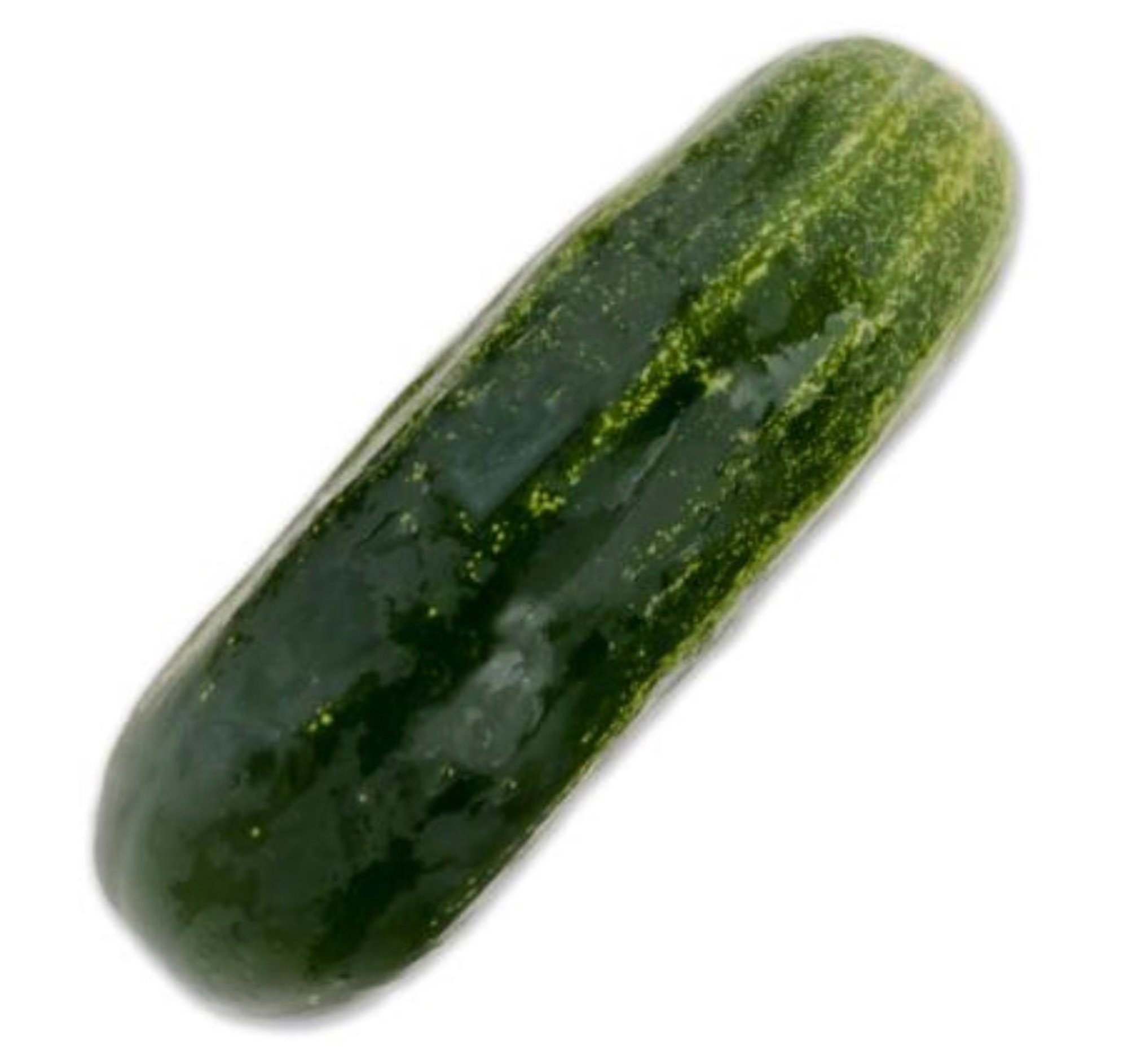 WHOLE DILL PICKLE