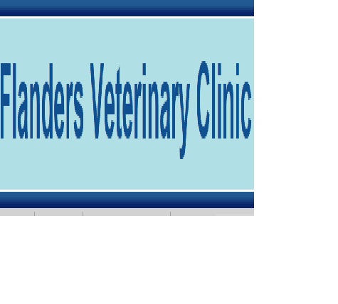 Flanders Veterinary Clinic Logo