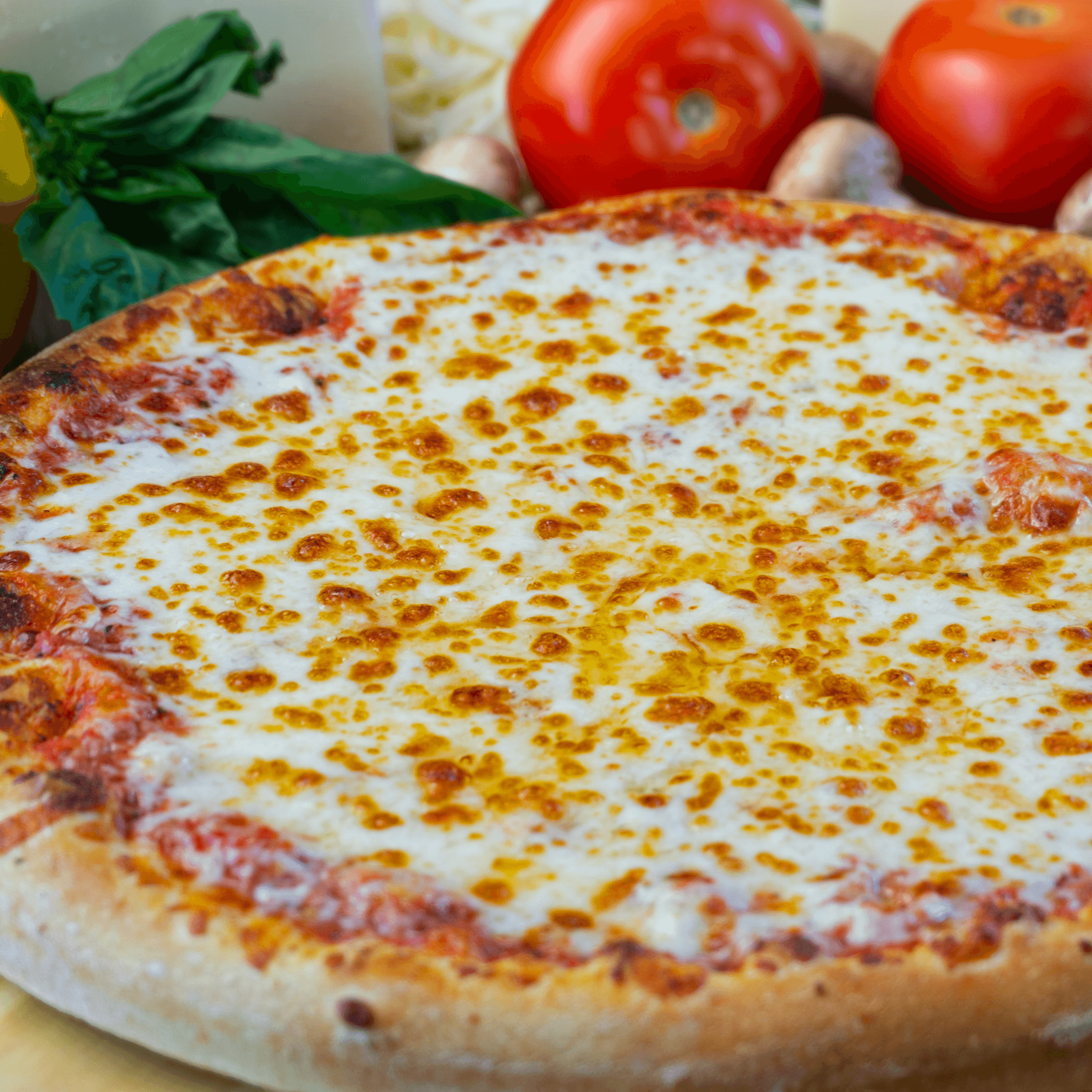 Cheese Pizza