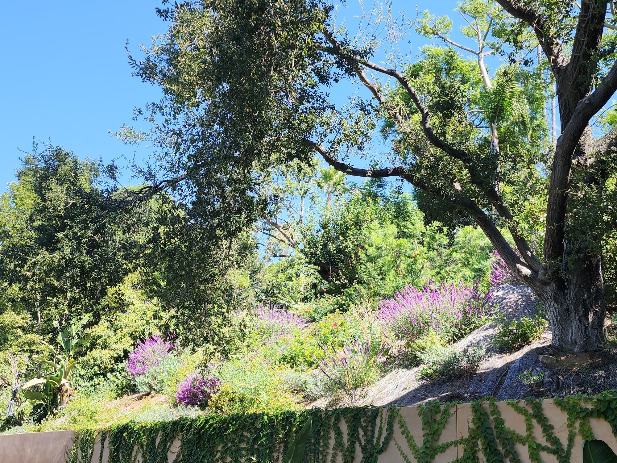 Robinson Environmental Design Image