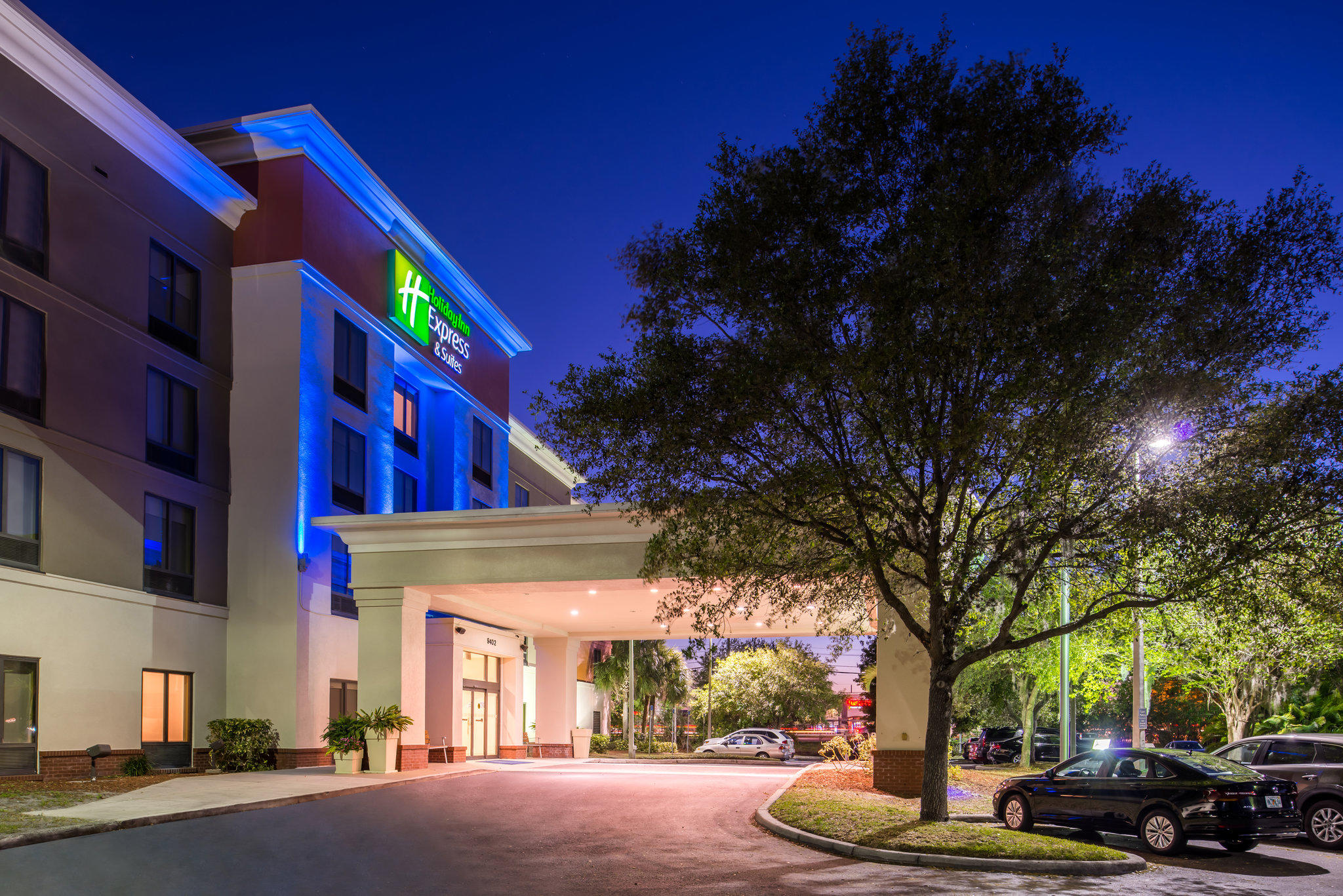 Holiday Inn Express & Suites Tampa-Anderson Rd/Veterans Exp Photo
