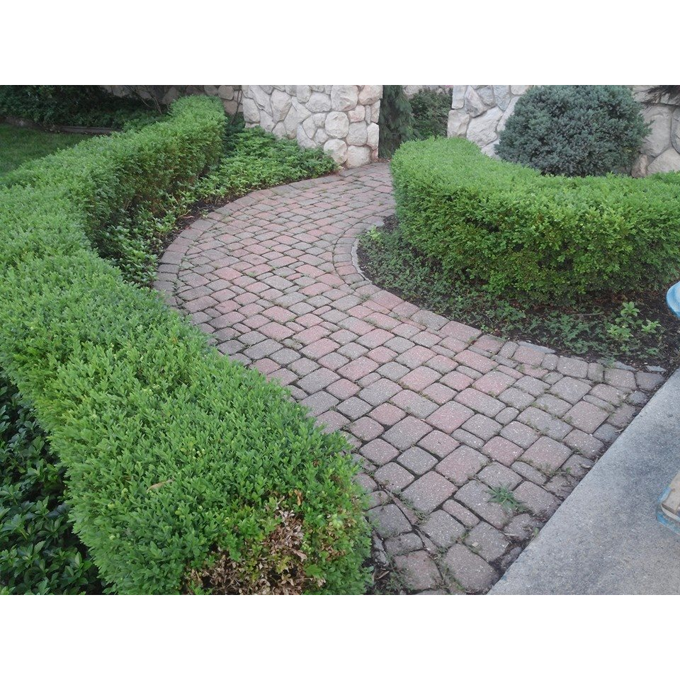 Ultra-Lock Paving Stones