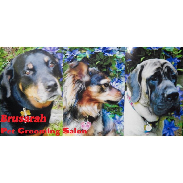 Brusarah Pet Grooming Salon