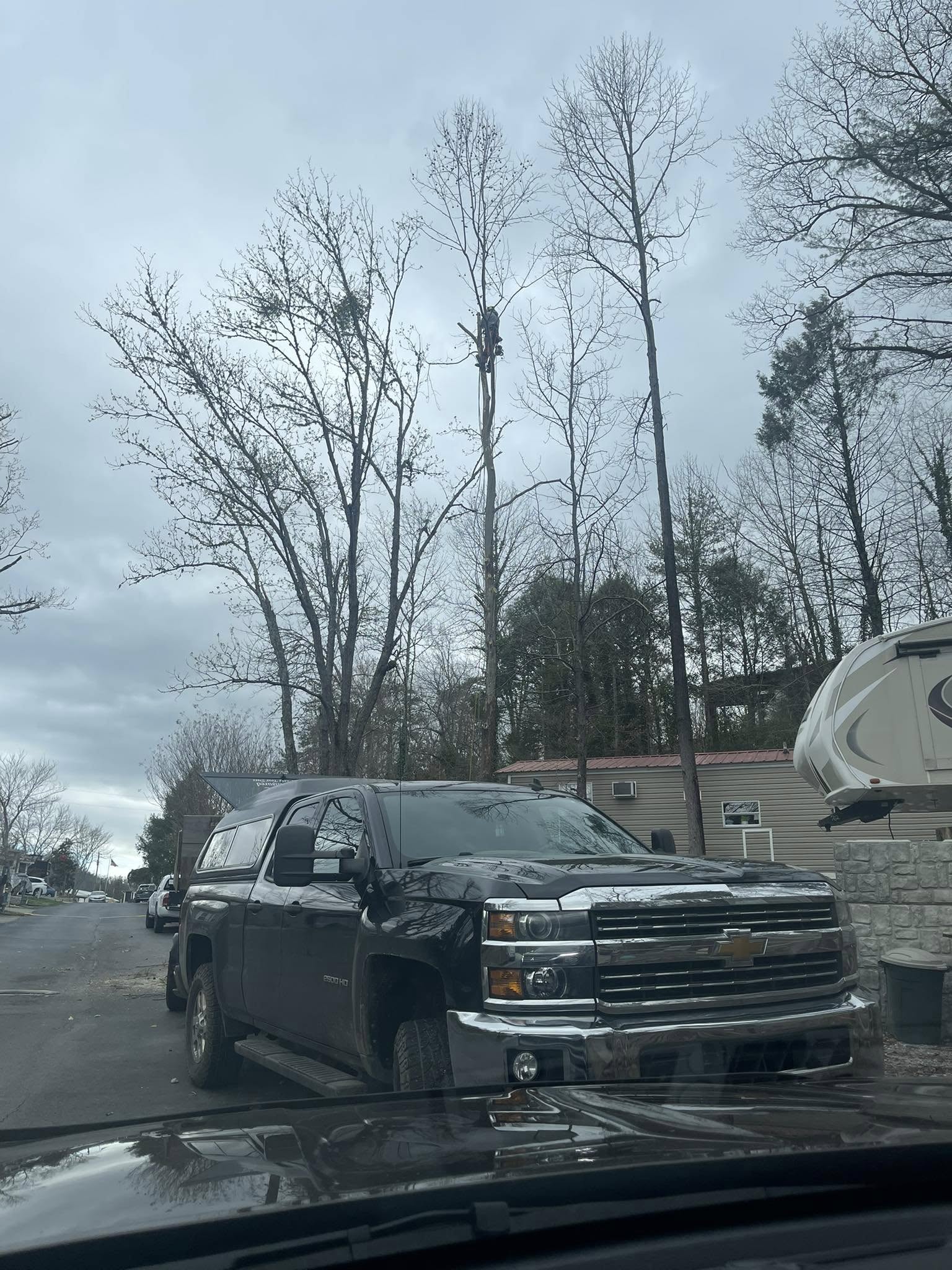 Victory One Tree Service & Stump Grinding Image