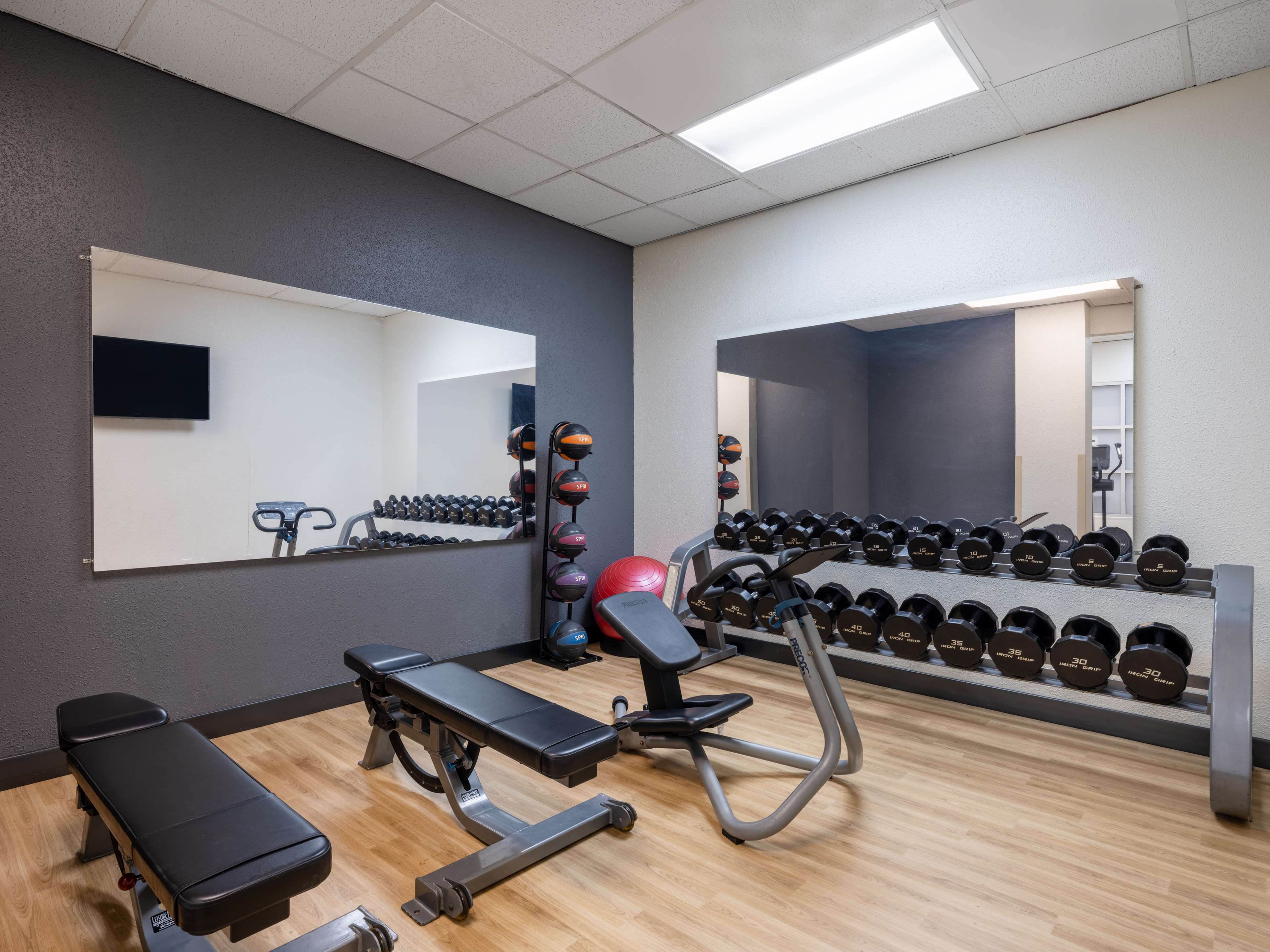 Health club  fitness center  gym