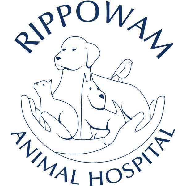 Rippowam Animal Hospital Photo