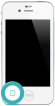 Home Button Flex iPhone 4C